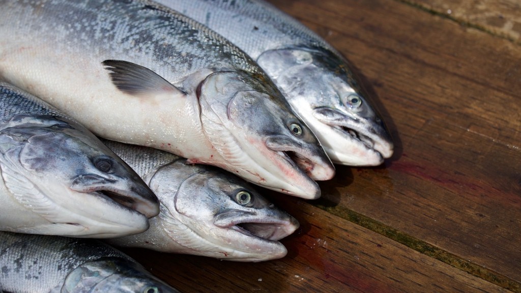 ما هو أفضل سمك السلمون أو السمك في ماين كرافت؟